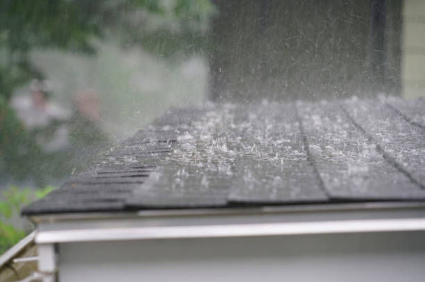 Best Roof Ventilation Installation  in New Mford, IL