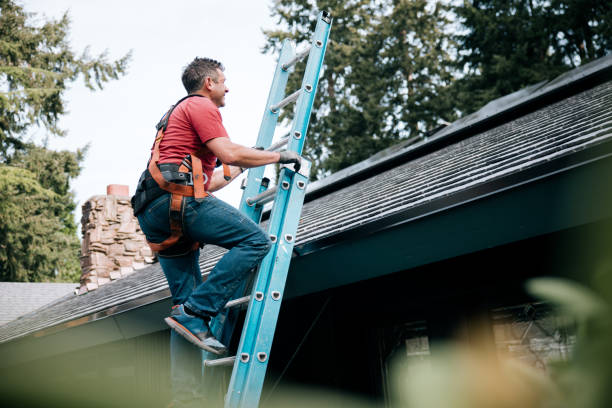 Best Rubber Roofing (EPDM, TPO)  in New Mford, IL